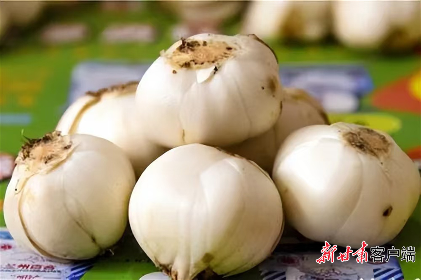 震惊！兰州百合干价格大揭秘，一斤究竟多少钱？