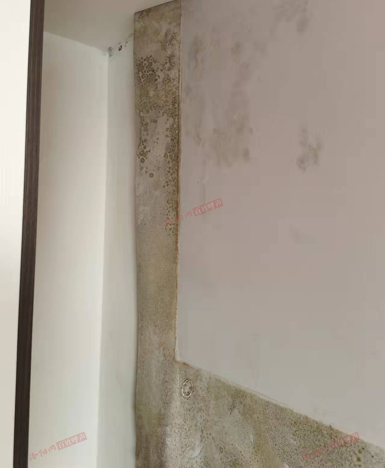 揭秘：外墙渗水的成因及防治策略